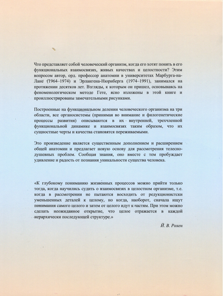 Морфология-2_Задник