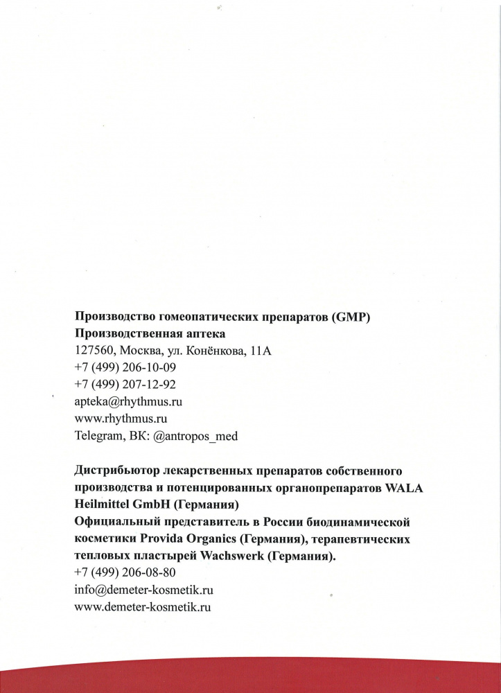 Задник