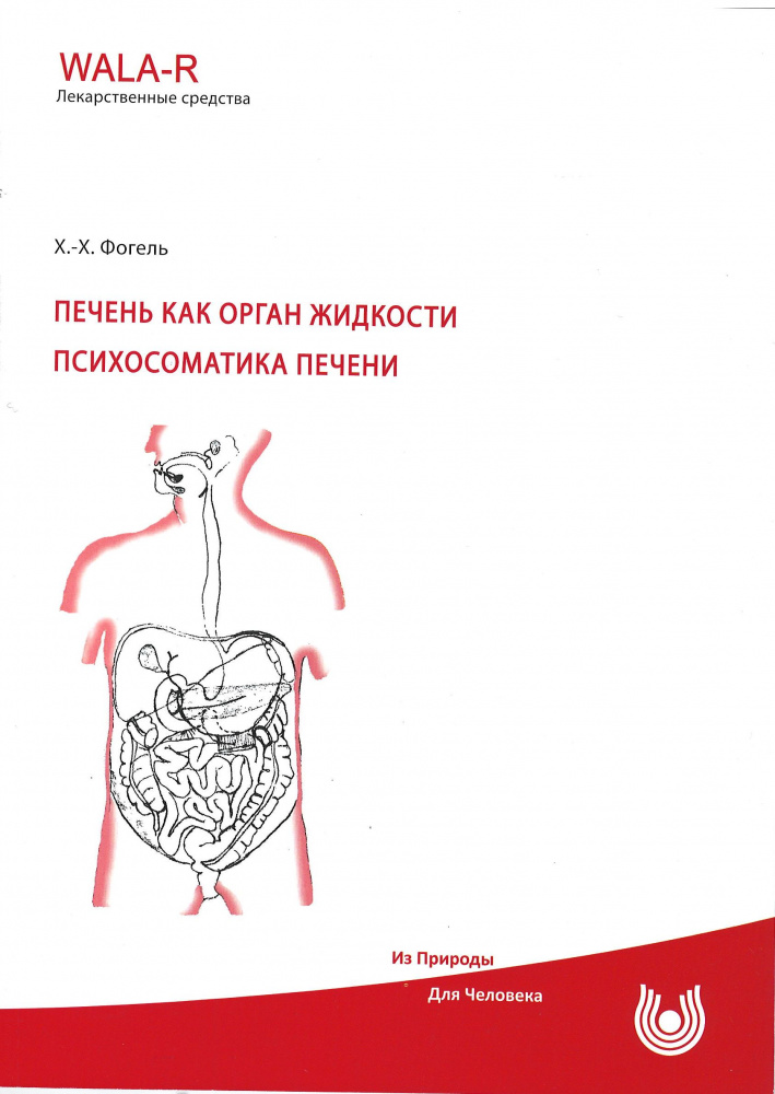 Печень как орган