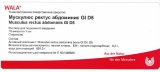 Мускулюс ректус абдоминис Gl Д 5 амп.1мл х10шт